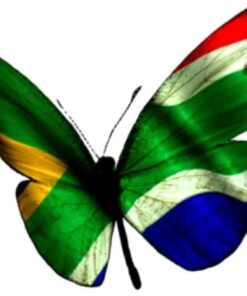 Thinkin' Skin SA Flag Butterfly Temp Tattoo (Celophane) 3.8cmx2.8cm each